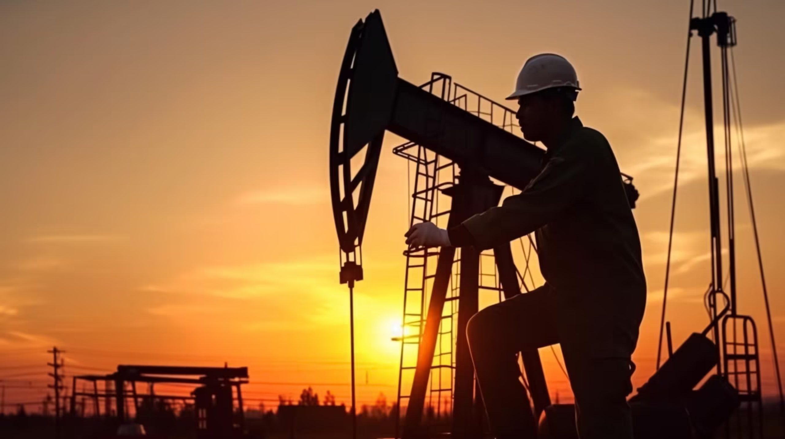 Our business focuses on the trading, transportation, transloading, and storage of oil products, with full logistics services in the Danube and Black Sea regions. We trade various oil products, including Euro-diesel (ED), gasoil, pyrolysis gasoline (Pygas), unleaded gasoline, gas condensate, virgin naphtha, vacuum gasoil, fuel oil, and more.